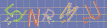 確認代碼