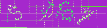 確認代碼