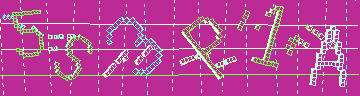確認代碼