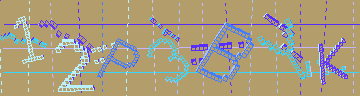 確認代碼