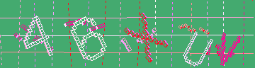 確認代碼