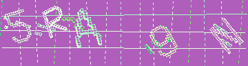 確認代碼