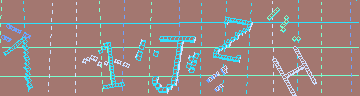 確認代碼