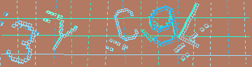 確認代碼