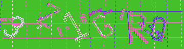 確認代碼