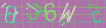 確認代碼