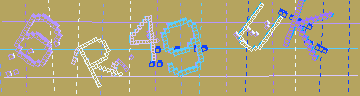 確認代碼