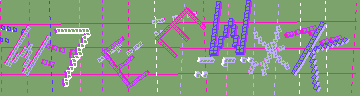 確認代碼