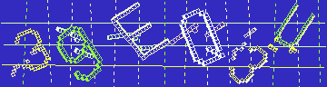 確認代碼