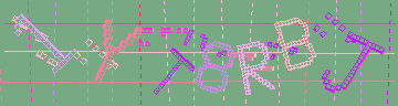 確認代碼