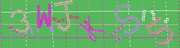 確認代碼