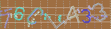 確認代碼