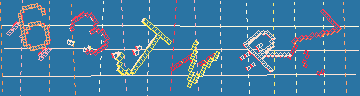 確認代碼