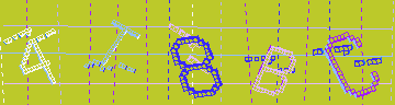確認代碼