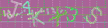 確認代碼