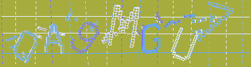 確認代碼