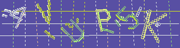確認代碼