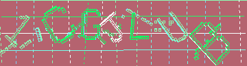 確認代碼