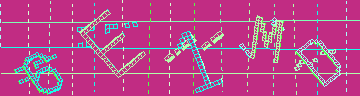 確認代碼