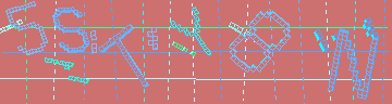 確認代碼