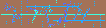 確認代碼