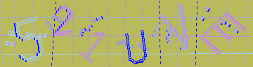確認代碼