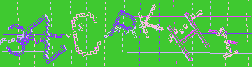 確認代碼