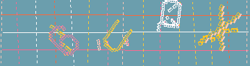 確認代碼