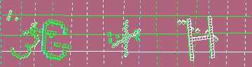 確認代碼