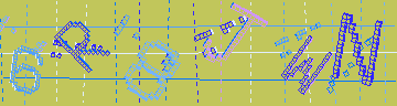 確認代碼