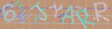 確認代碼