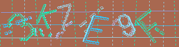 確認代碼