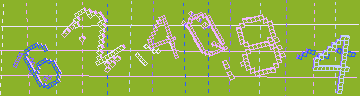 確認代碼