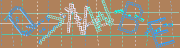 確認代碼