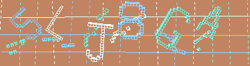 確認代碼