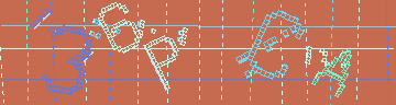 確認代碼