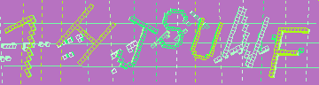 確認代碼