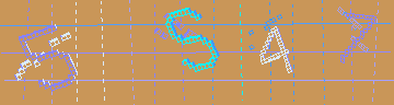 確認代碼