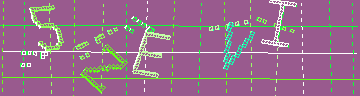 確認代碼
