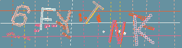 確認代碼