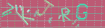 確認代碼