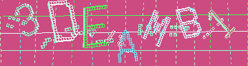 確認代碼