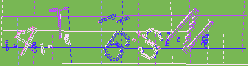 確認代碼