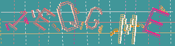 確認代碼