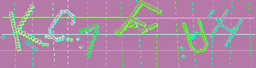 確認代碼