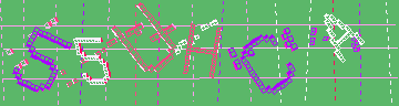 確認代碼