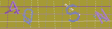 確認代碼
