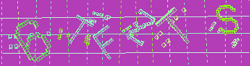 確認代碼