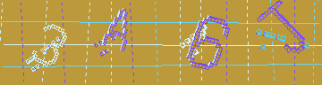 確認代碼