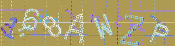 確認代碼